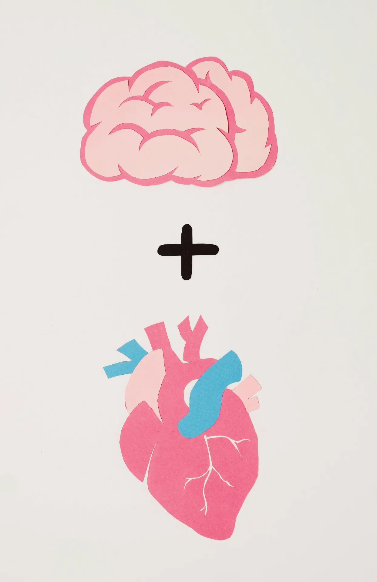 e-book - The Science of Grief An Evidence-Based Guide to Understanding and Navigating Loss